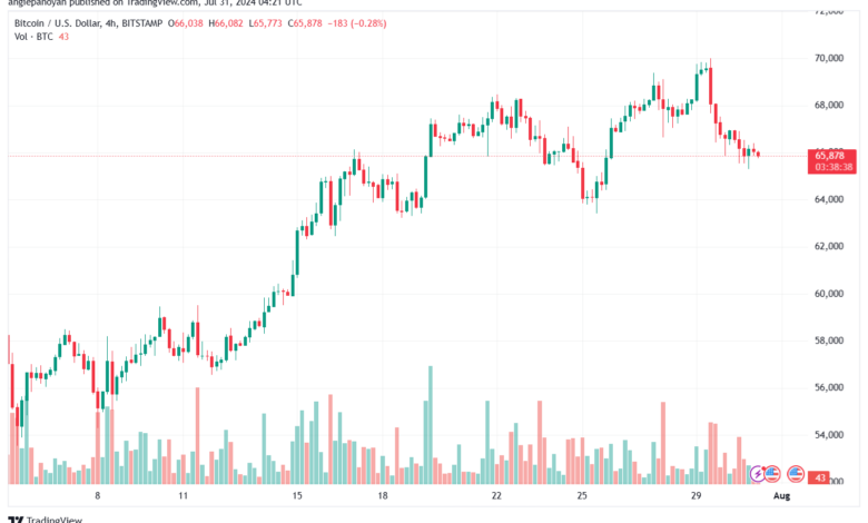 تحليل البتكوين دولار BTCUSD-31-7-2024