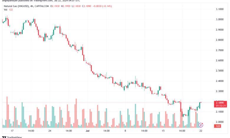 تحليل الغاز الطبيعي 22-7-2024 NATURAL GAS