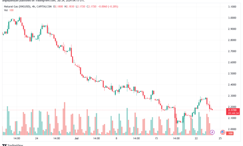 تحليل الغاز الطبيعي 24-7-2024 NATURAL GAS