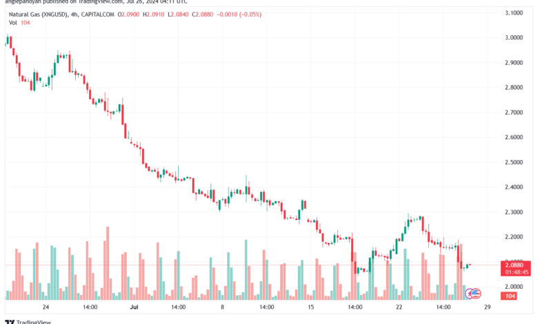 تحليل الغاز الطبيعي 26-7-2024 NATURAL GAS