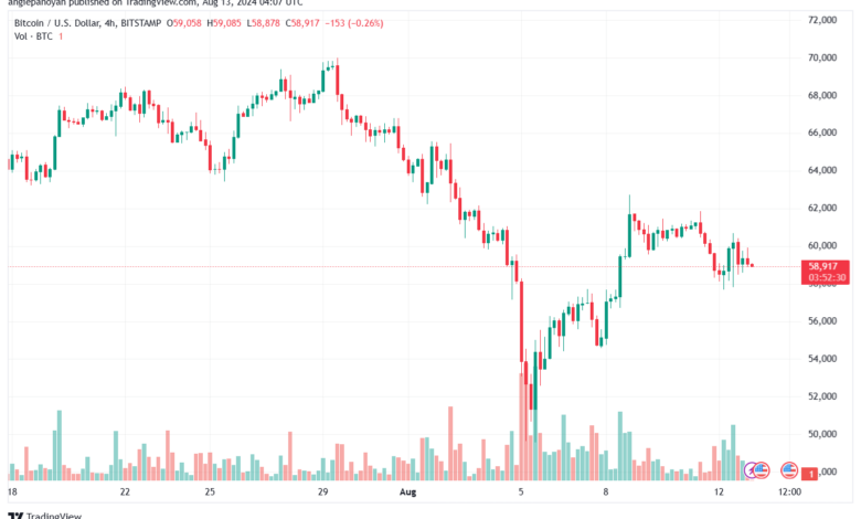 تحليل البتكوين دولار BTCUSD-13-8-2024