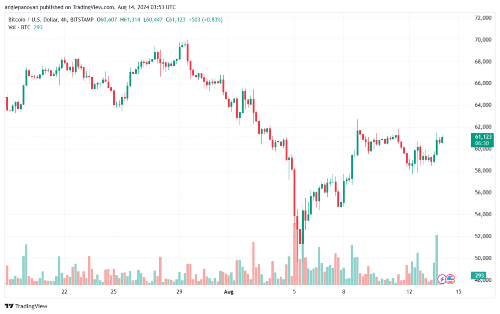 تحليل البتكوين دولار BTCUSD-14-8-2024