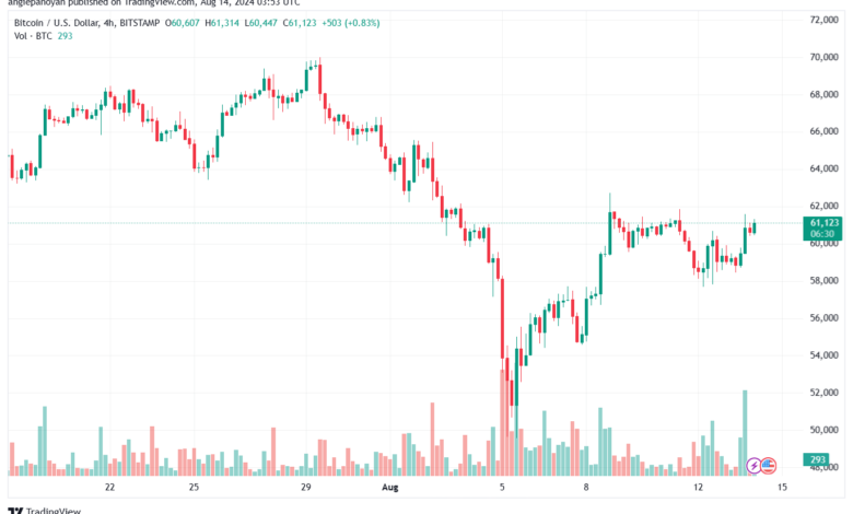 تحليل البتكوين دولار BTCUSD-14-8-2024