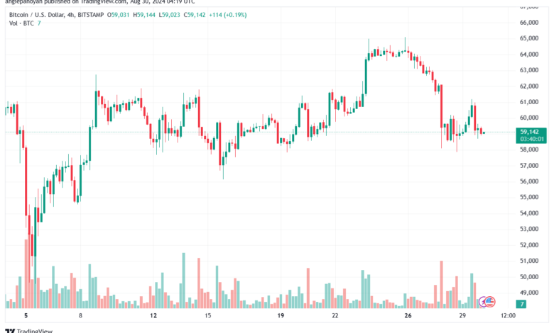 تحليل البتكوين دولار BTCUSD-30-8-2024