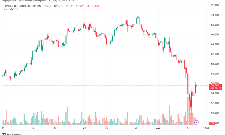 تحليل البتكوين دولار BTCUSD-6-8-2024