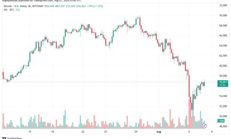 تحليل البتكوين دولار BTCUSD-7-8-2024