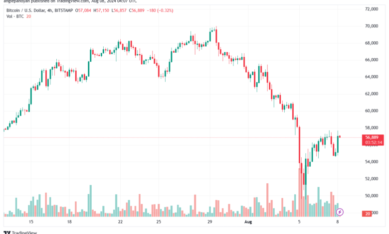 تحليل البتكوين دولار BTCUSD-8-8-2024