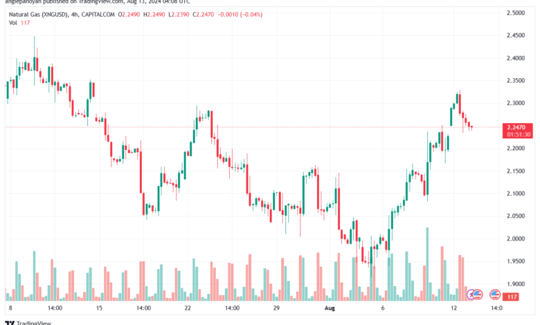 تحليل الغاز الطبيعي 13-8-2024 NATURAL GAS