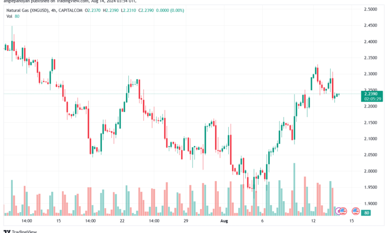 تحليل الغاز الطبيعي 14-8-2024 NATURAL GAS