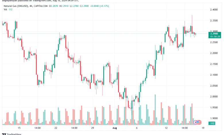 تحليل الغاز الطبيعي 16-8-2024 NATURAL GAS