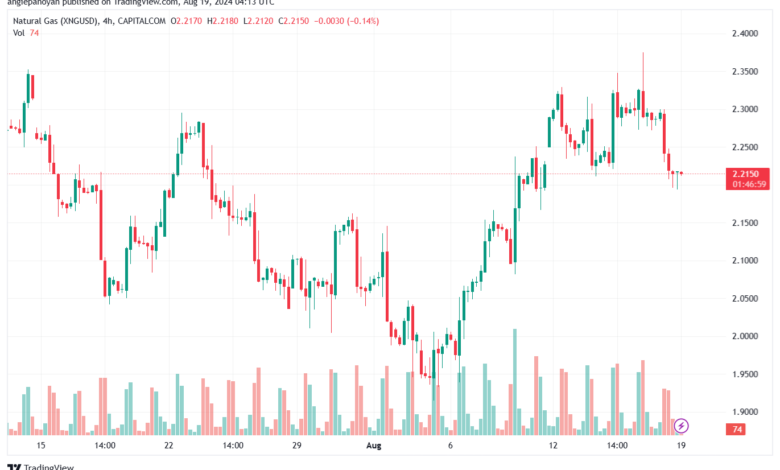 تحليل الغاز الطبيعي 19-8-2024 NATURAL GAS