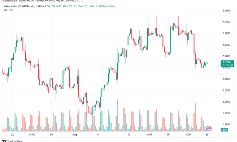 تحليل الغاز الطبيعي 26-8-2024 NATURAL GAS