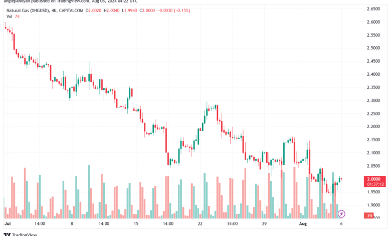 تحليل الغاز الطبيعي 6-8-2024 NATURAL GAS