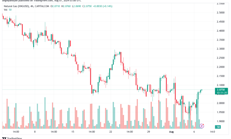 تحليل الغاز الطبيعي 7-8-2024 NATURAL GAS