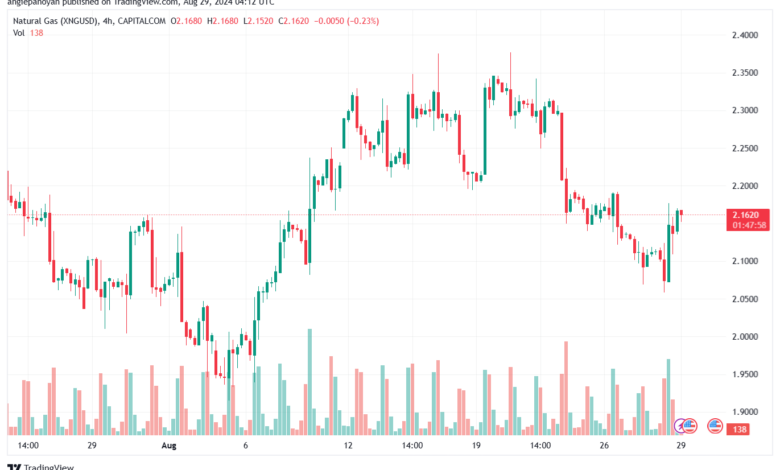 تحليل الغاز الطبيعي NATURAL GAS 29-08-24