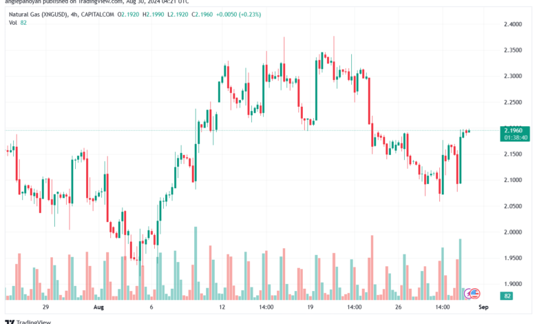 تحليل الغاز الطبيعي NATURAL GAS 30-08-24