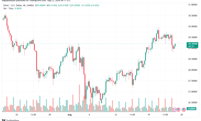 تحليل الفضة 23-8-2024 SILVER XAGUSD