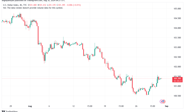 تحليل مؤشر الدولار الامريكي- Dollar Index (DXY)-3082024