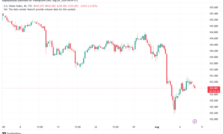 تحليل مؤشر الدولار الامريكي- Dollar Index (DXY)-882024