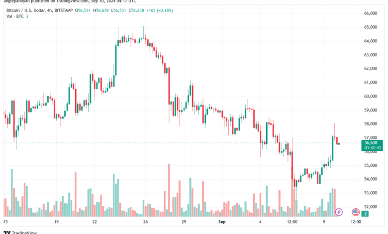 تحليل البتكوين دولار BTCUSD-10-9-2024