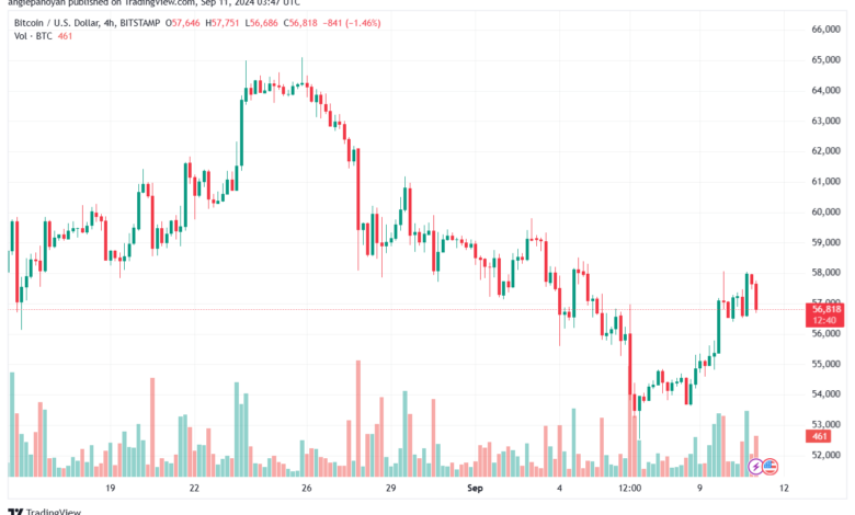 تحليل البتكوين دولار BTCUSD-11-9-2024