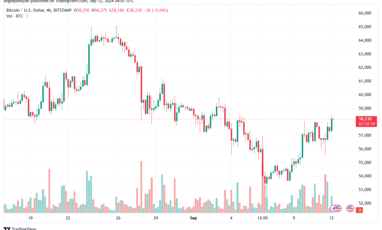 تحليل البتكوين دولار BTCUSD-12-9-2024