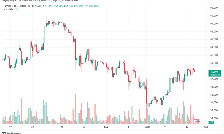 تحليل البتكوين دولار BTCUSD-13-9-2024