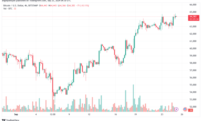 تحليل البتكوين دولار BTCUSD-25-9-2024