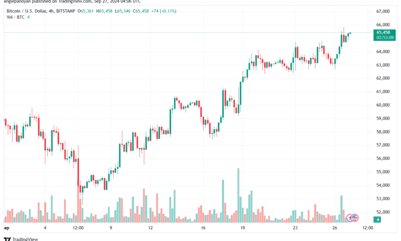 تحليل البتكوين دولار BTCUSD-27-9-2024