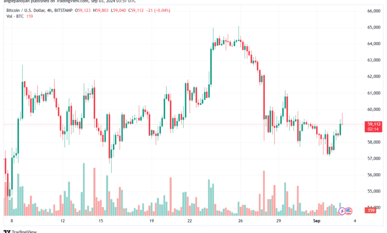 تحليل البتكوين دولار BTCUSD-3-9-2024