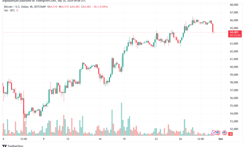 تحليل البتكوين دولار BTCUSD-30-9-2024