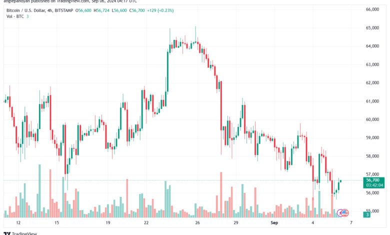 تحليل البتكوين دولار BTCUSD-6-9-2024