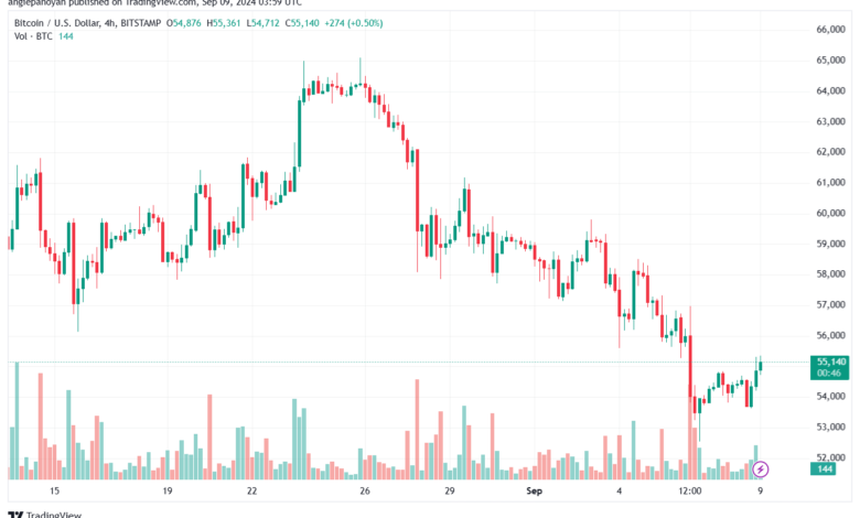 تحليل البتكوين دولار BTCUSD-9-9-2024