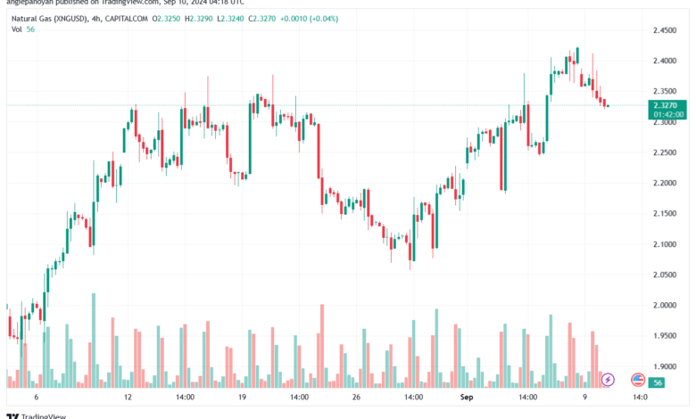 تحليل الغاز الطبيعي NATURAL GAS 10-9-24