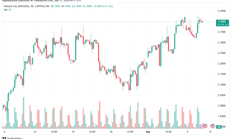 تحليل الغاز الطبيعي NATURAL GAS 11-9-24