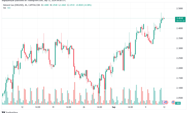 تحليل الغاز الطبيعي NATURAL GAS 12-9-24