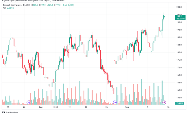 تحليل الغاز الطبيعي NATURAL GAS 13-9-24