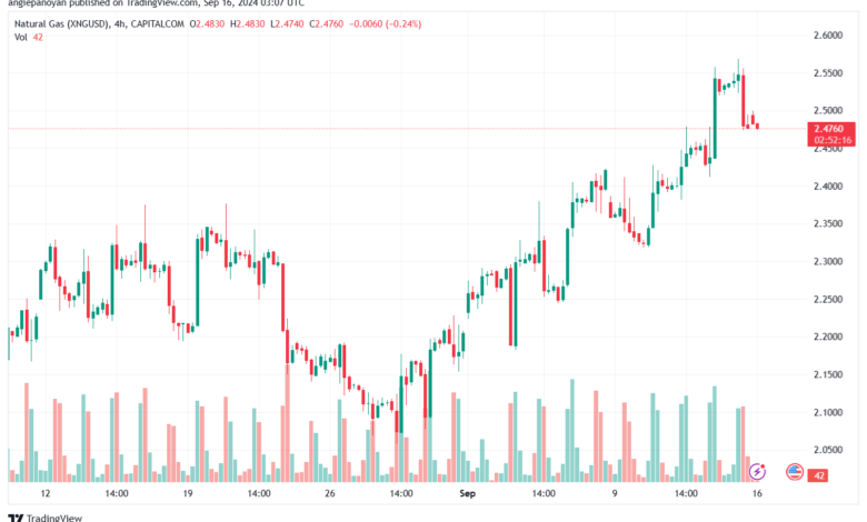 تحليل الغاز الطبيعي NATURAL GAS 16-9-24