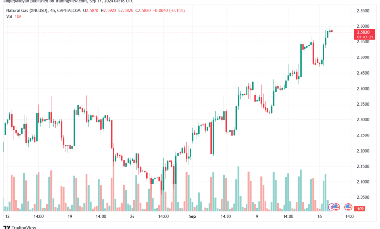 تحليل الغاز الطبيعي NATURAL GAS 17-9-24