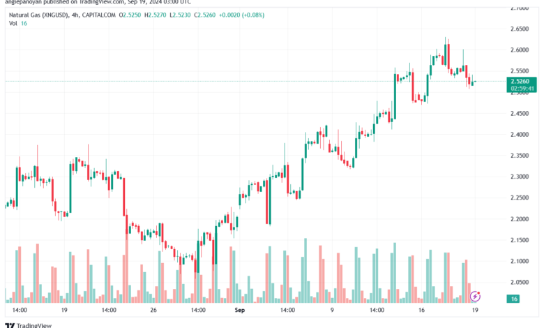 تحليل الغاز الطبيعي NATURAL GAS 19-9-24