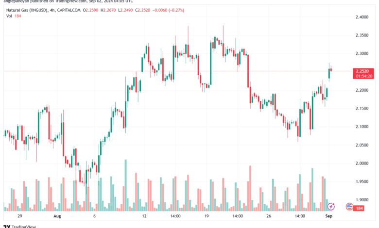 تحليل الغاز الطبيعي NATURAL GAS 2-9-24