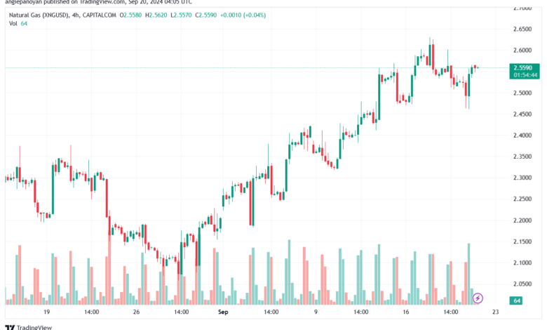 تحليل الغاز الطبيعي NATURAL GAS 20-9-24