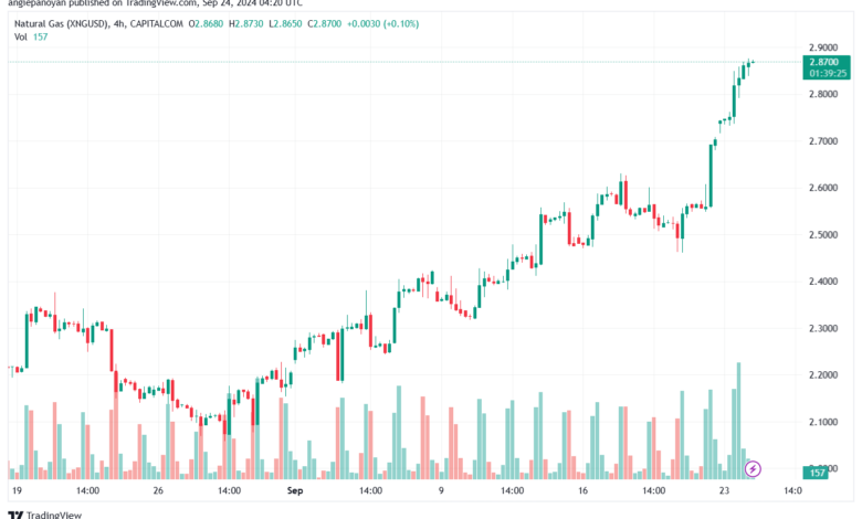 تحليل الغاز الطبيعي NATURAL GAS 24-9-24