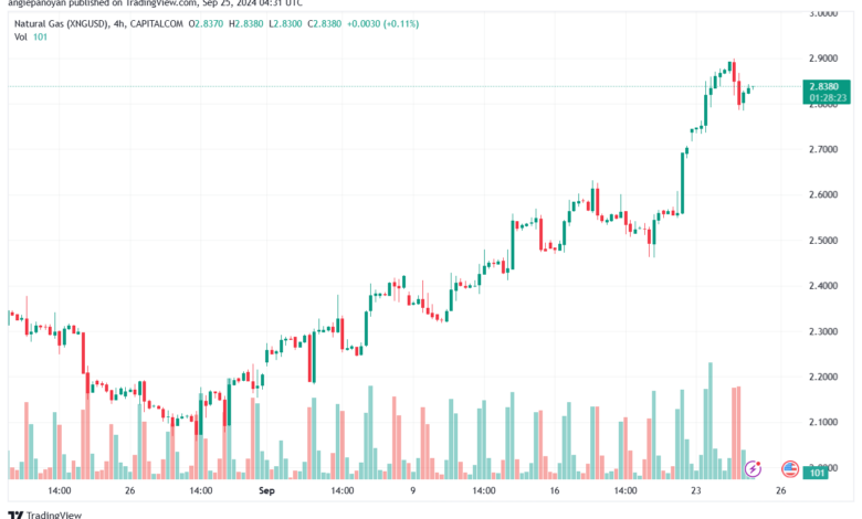 تحليل الغاز الطبيعي NATURAL GAS 25-9-24