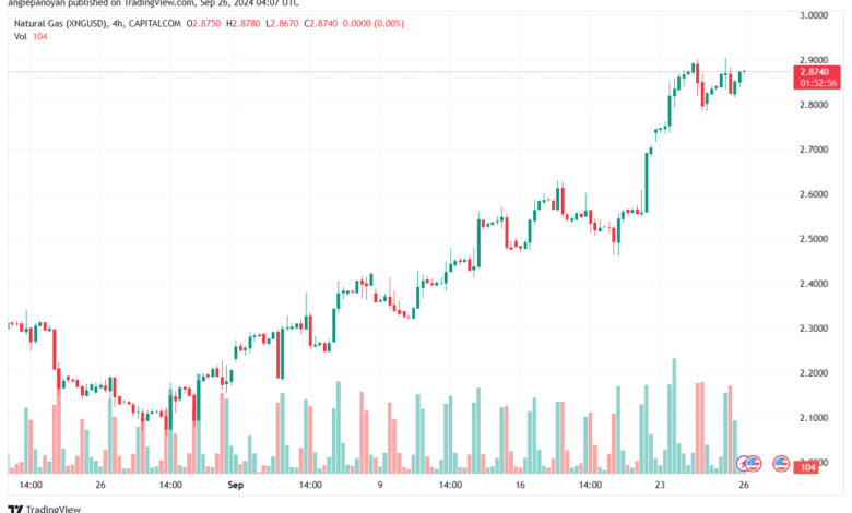 تحليل الغاز الطبيعي NATURAL GAS 26-9-24