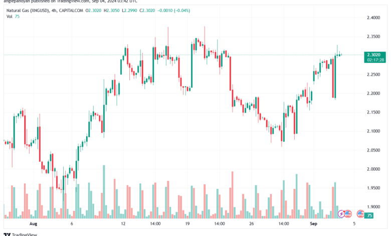 تحليل الغاز الطبيعي NATURAL GAS 4-9-24