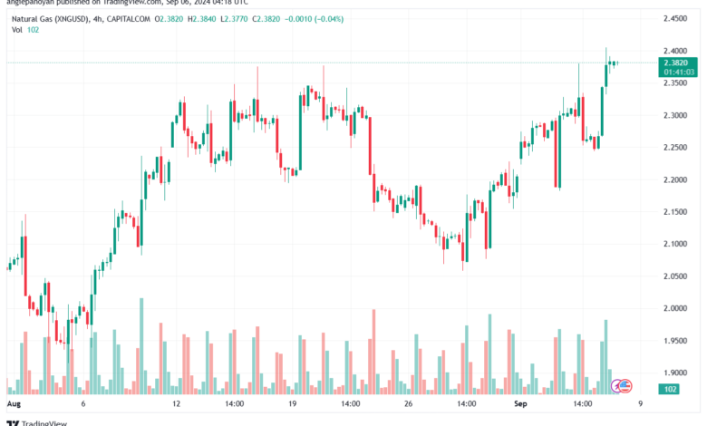 تحليل الغاز الطبيعي NATURAL GAS 6-9-24