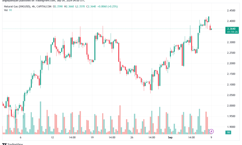 تحليل الغاز الطبيعي NATURAL GAS 9-9-24