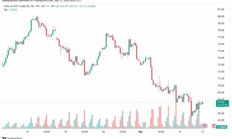 تحليل النفط CRUDE OIL -12-9-2024