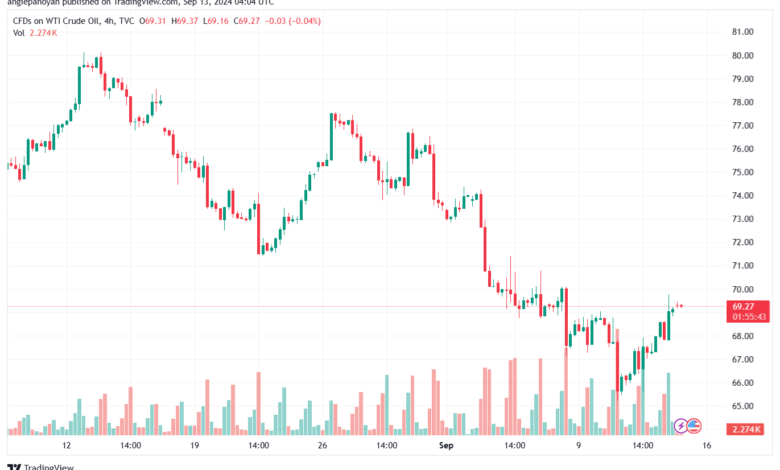 تحليل النفط CRUDE OIL -13-9-2024